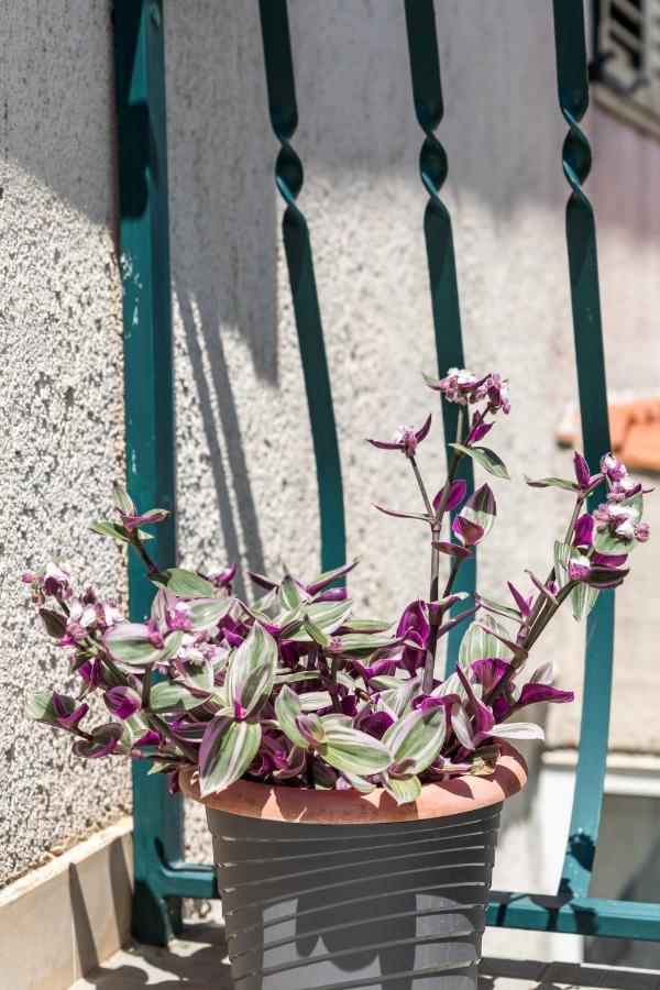 Luxury Apartment Silvana With Beautiful Garden Split Zewnętrze zdjęcie